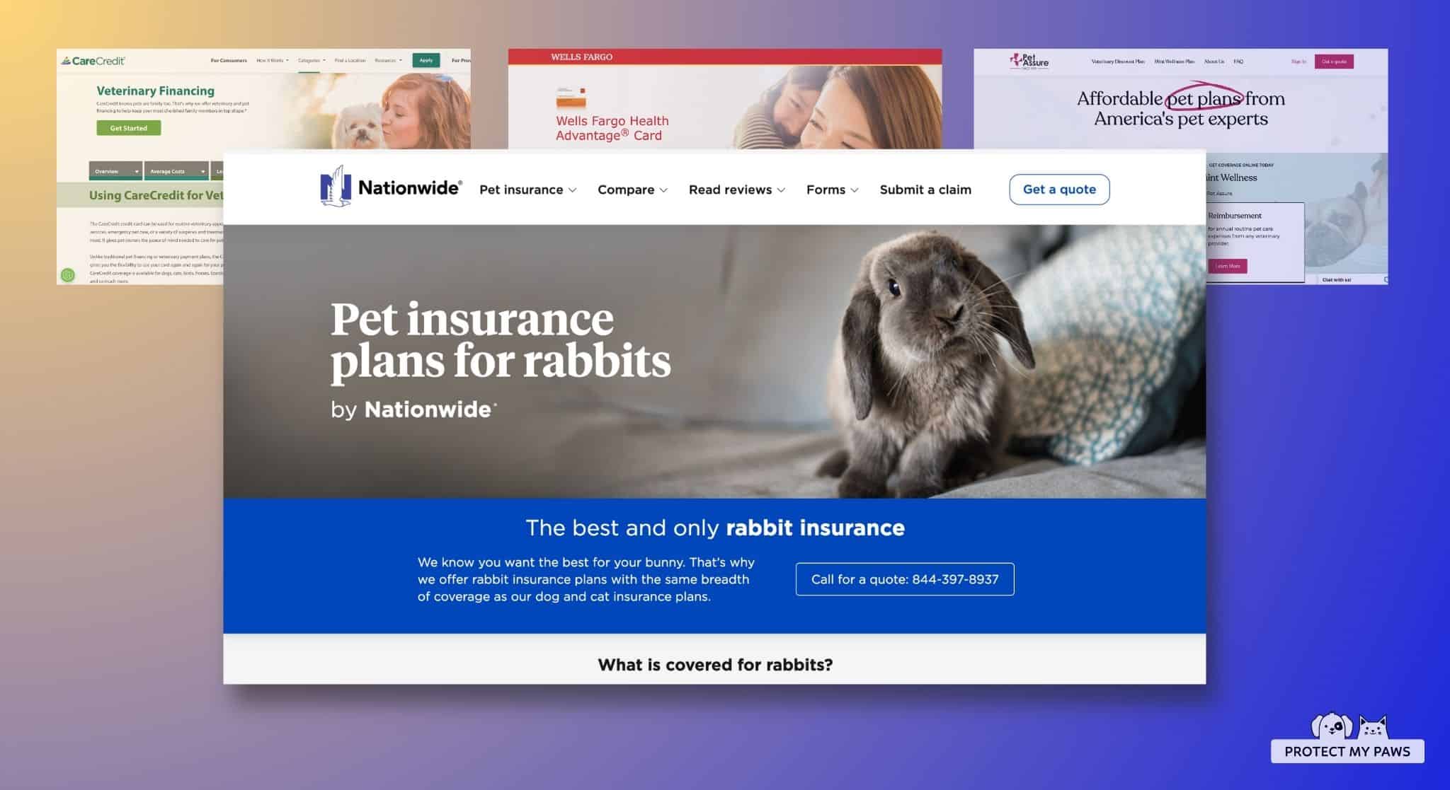 4 Best Rabbit Insurance Plans